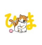 片目猫のくるみちゃん full（個別スタンプ：7）