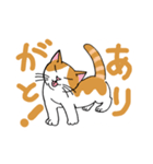 片目猫のくるみちゃん full（個別スタンプ：8）