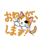 片目猫のくるみちゃん full（個別スタンプ：10）