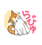 片目猫のくるみちゃん full（個別スタンプ：11）