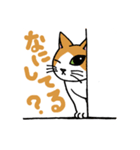 片目猫のくるみちゃん full（個別スタンプ：16）