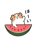ゆるモルスタンプ・夏野菜増量ver.（個別スタンプ：3）
