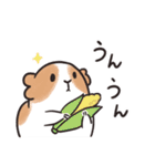 ゆるモルスタンプ・夏野菜増量ver.（個別スタンプ：5）