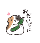 ゆるモルスタンプ・夏野菜増量ver.（個別スタンプ：8）