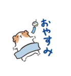 ゆるモルスタンプ・夏野菜増量ver.（個別スタンプ：20）