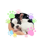 サビィ、あるある（個別スタンプ：4）