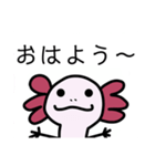 ウーパくんスタンプ（個別スタンプ：1）