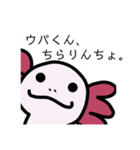 ウーパくんスタンプ（個別スタンプ：3）