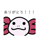 ウーパくんスタンプ（個別スタンプ：5）