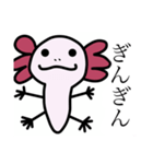 ウーパくんスタンプ（個別スタンプ：12）