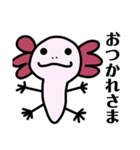 ウーパくんスタンプ（個別スタンプ：13）
