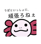 ウーパくんスタンプ（個別スタンプ：14）