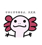 ウーパくんスタンプ（個別スタンプ：16）
