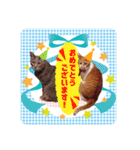 いつでもねこねこスタンプ（敬語編）（個別スタンプ：23）