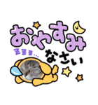 ミーちゃんスタンプ4（個別スタンプ：7）