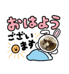 ミーちゃんスタンプ4（個別スタンプ：8）