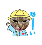 ミーちゃんスタンプ4（個別スタンプ：11）