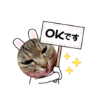 ミーちゃんスタンプ4（個別スタンプ：14）