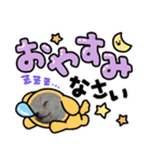 こむぎで〜す（個別スタンプ：13）