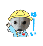 こむぎで〜す（個別スタンプ：19）