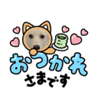 こむぎで〜す（個別スタンプ：20）