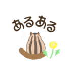 しまりすしましま♪（個別スタンプ：21）