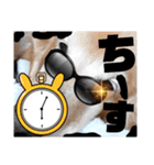 びーちゃんとみわちゃん【会話編】（個別スタンプ：35）