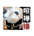 びーちゃんとみわちゃん【会話編】（個別スタンプ：37）