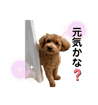 カトりんの日常⑤（個別スタンプ：4）