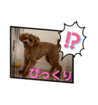 カトりんの日常⑤（個別スタンプ：22）