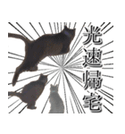 太郎でございます。（個別スタンプ：5）