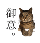 太郎でございます。（個別スタンプ：8）