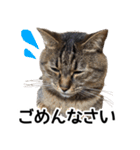 太郎でございます。（個別スタンプ：9）