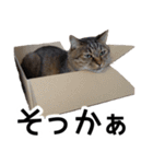 太郎でございます。（個別スタンプ：12）