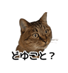 太郎でございます。（個別スタンプ：16）
