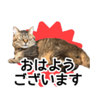 太郎でございます。（個別スタンプ：18）