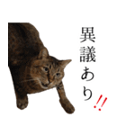 太郎でございます。（個別スタンプ：20）