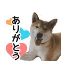 太郎でございます。（個別スタンプ：21）