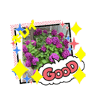 お花でお話！（個別スタンプ：2）