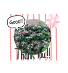 お花でお話！（個別スタンプ：6）