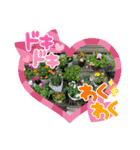 お花でお話！（個別スタンプ：7）