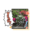 お花でお話！（個別スタンプ：8）