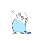 すごくインコ（個別スタンプ：2）