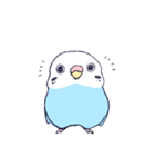 すごくインコ（個別スタンプ：11）