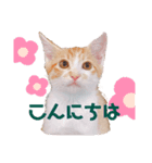 今日のきなこスタンプ2（個別スタンプ：7）
