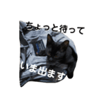 小春とスフィとにけ（個別スタンプ：7）