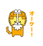 シェルティ(Shelty)（個別スタンプ：3）