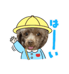 Yoshys doggies 3（個別スタンプ：1）