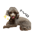 Yoshys doggies 3（個別スタンプ：3）