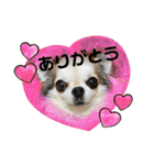 Yoshys doggies 3（個別スタンプ：6）